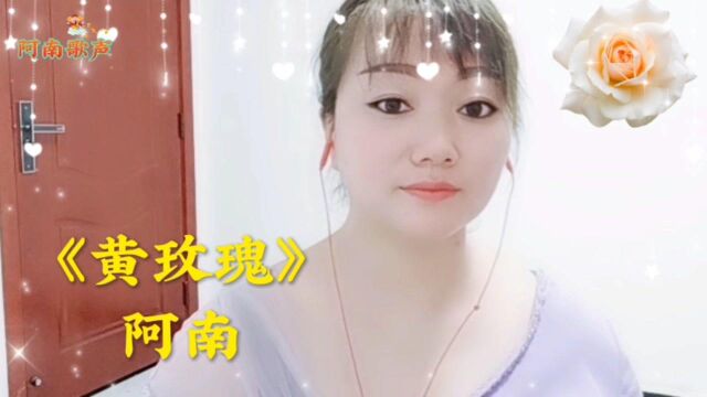 一首疗伤曲《黄玫瑰》催人泪下,别落泪,所有的花你最美,听着听着就释怀了…