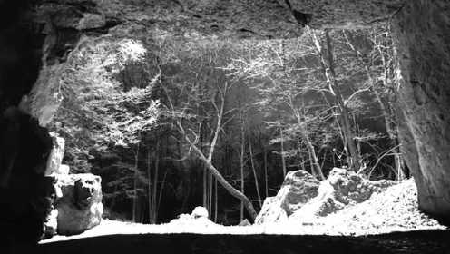 「黑白森林」一首暗黑而魔幻的视觉诗