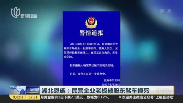 湖北恩施:民营企业老板被股东驾车撞死