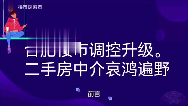 合肥楼市调控加码,二手房中介哀鸿片野