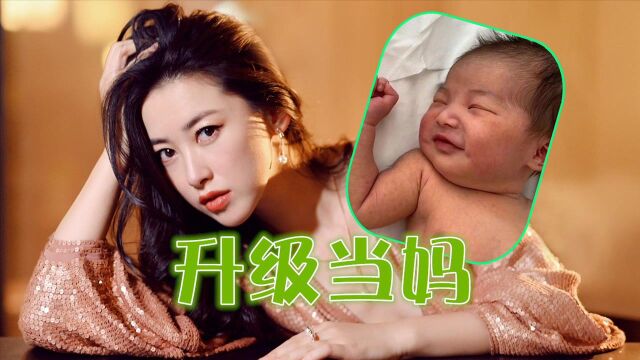 恭喜!《乔家的儿女》女演员朱珠升级当妈,粉丝迫不及待想看她拍戏