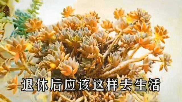 退休后应该这样去生活(2)