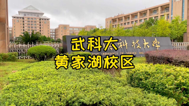 黄家湖学校图片