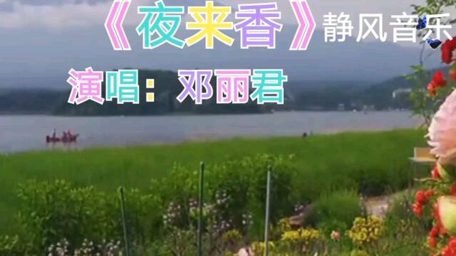 歌曲《夜来香》演唱:邓丽君