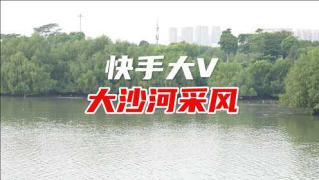 快手大V感受深圳生态之美