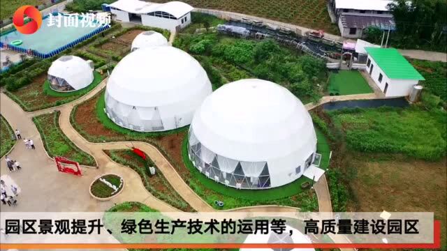 小康圆梦|以“稻虾”为龙头打造特色农业品牌 四川宜宾兴文县共乐镇产业助推乡村振兴