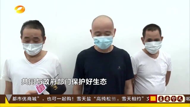 长沙望城:两团伙非法捕鱼2400斤 被罚放流24万尾