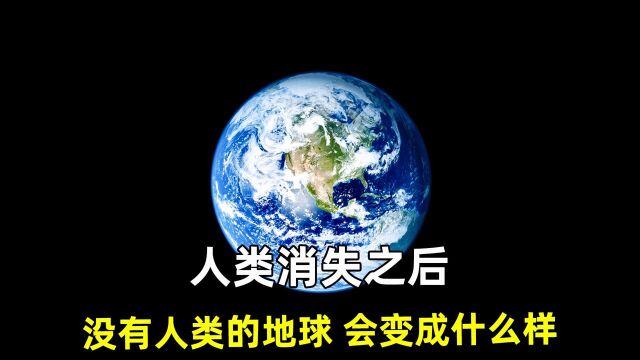 人类消失后1万年,所有文明科学不复存在《人类消失之后的世界》