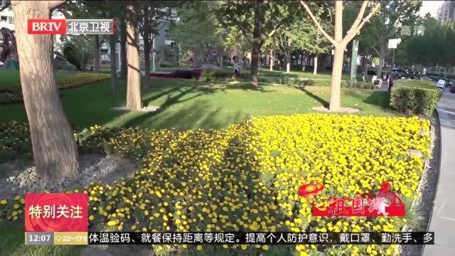 北京西城区:六大主题花坛扮靓中轴线金融街