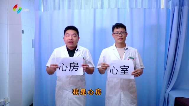 【健康锦囊】——什么是房颤?