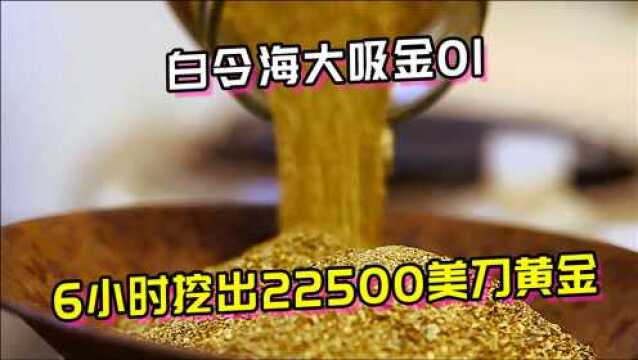 白令海淘金客,6小时筛出452克黄金,时薪高达22500叨,你敢来?