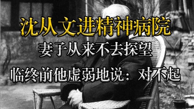 沈从文进精神病院,妻子从来不去探望,临终前他虚弱地说:对不起