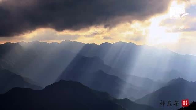 生物多样性丨神农架山水秘境穿越四季而来 每一帧都惊艳