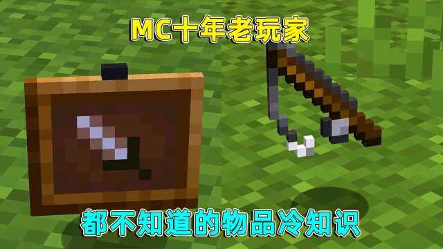 我的世界:mc十年老玩家,都不一定知道的物品冷知识!你都知道吗?