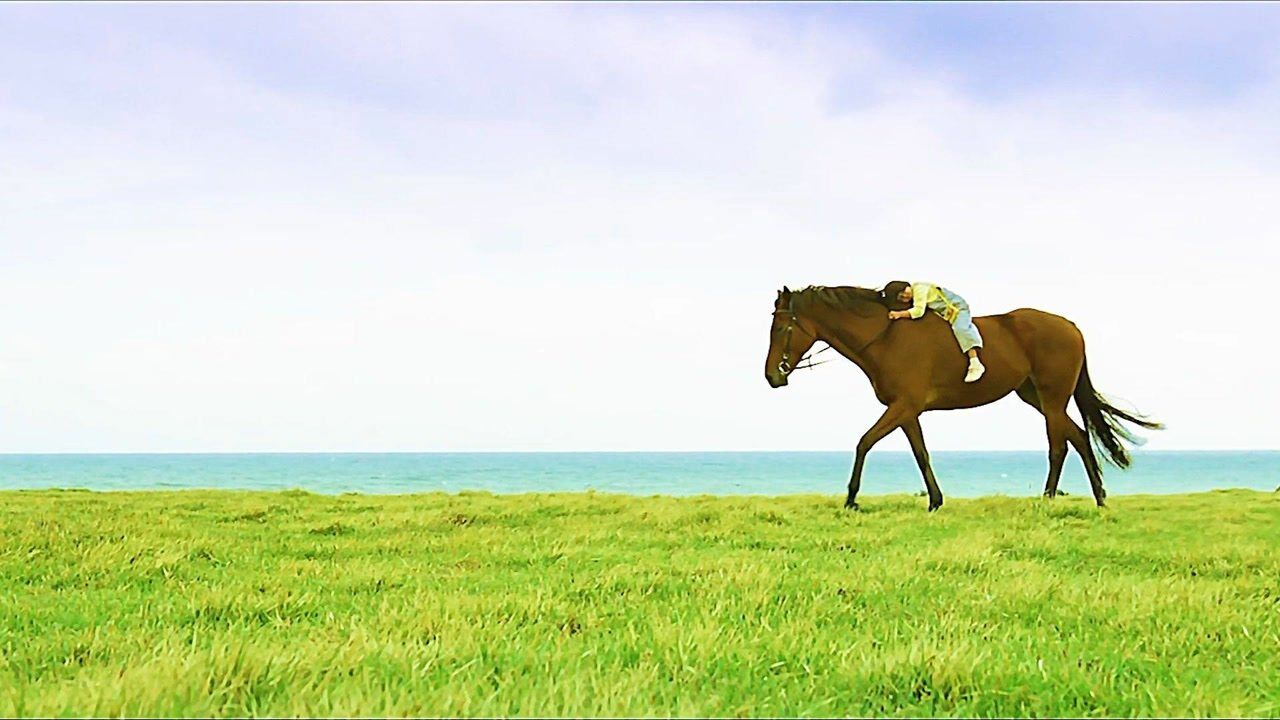 一部有关人与动物的电影方糖泪点低的勿进