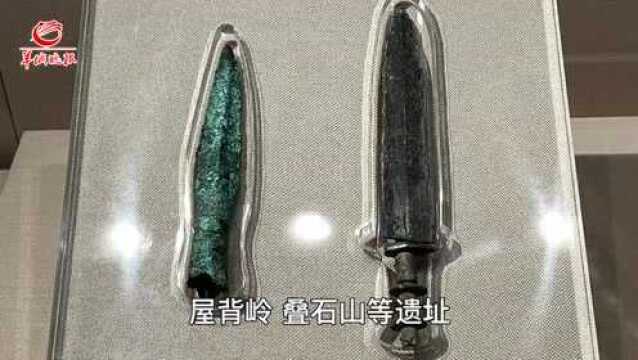 【粤直击】视频打卡深圳红色史迹:南山博物馆