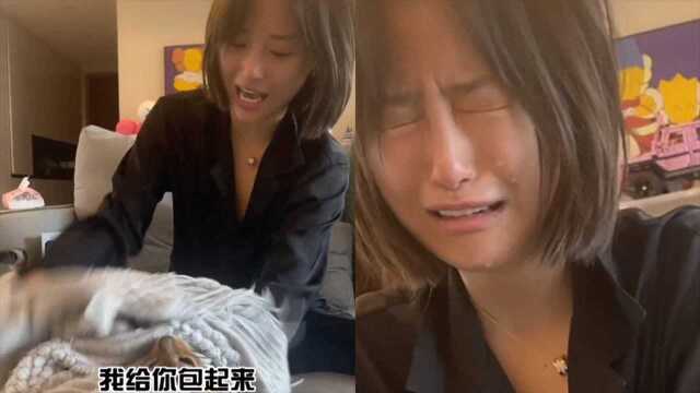 女生被猫咪挠破后情绪崩溃,边哭边宣泄逗笑网友:它不懂你的悲伤