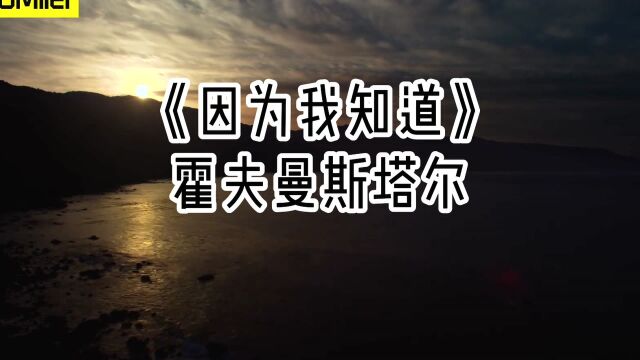 259《因为我知道》霍夫曼斯塔尔【为你读诗 259】