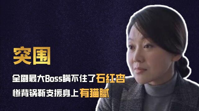 突围:全剧最大Boss瞒不住了,石红杏惨背锅,靳支援身上有猫腻