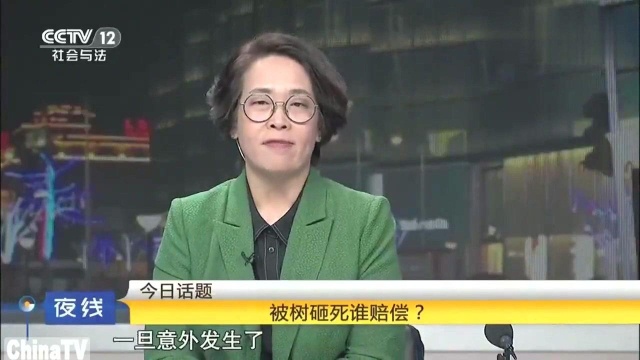 女子围观伐树,竟在树倒下之时被砸死,儿子得知后大脑“断机”了