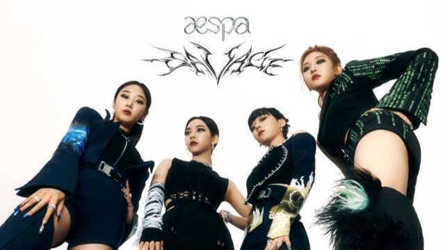 【跳跳舞蹈教学】Aespa《SAVAGE》舞蹈分解教学第三部分分解教学