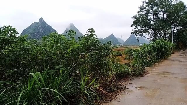 雨后天晴风景优美