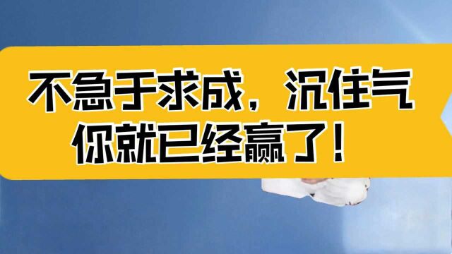 庄子:眼见为实,为时已晚;不要急于求成,沉住气,你就已经赢了!