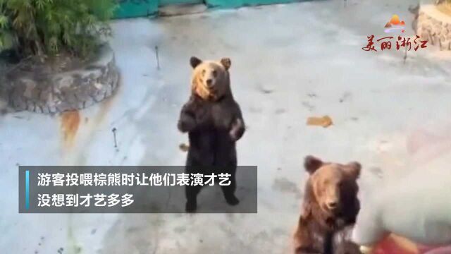 “小熊熊”太不容易了,各种才艺随便上精彩多多