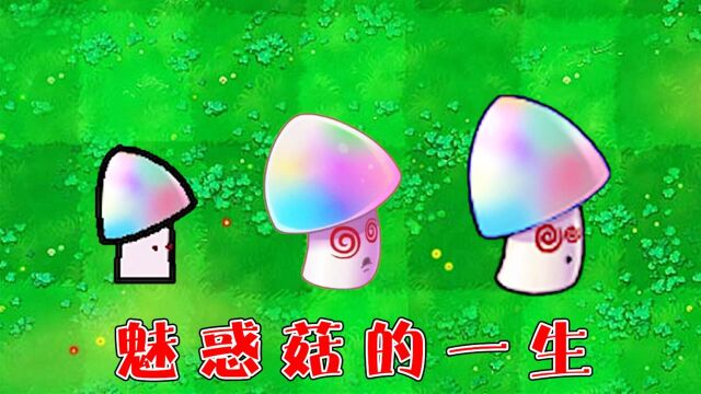 植物大战僵尸:魅惑菇的一生,都经历了哪些事情?