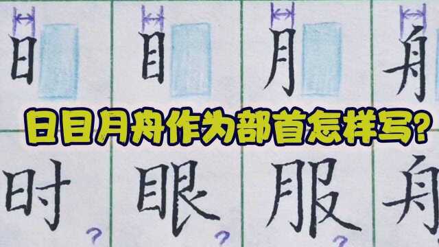 “日目月舟”作为部首时的黄金规律,听完还是很有道理的#一起练字 #练字技巧 #硬笔 #少儿硬笔 #硬笔书法