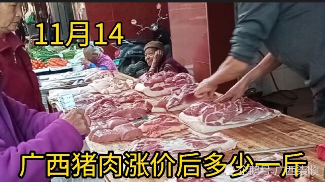 广西猪肉价格涨价太吓人,实拍11月14日价格多少钱一斤?大吃一惊