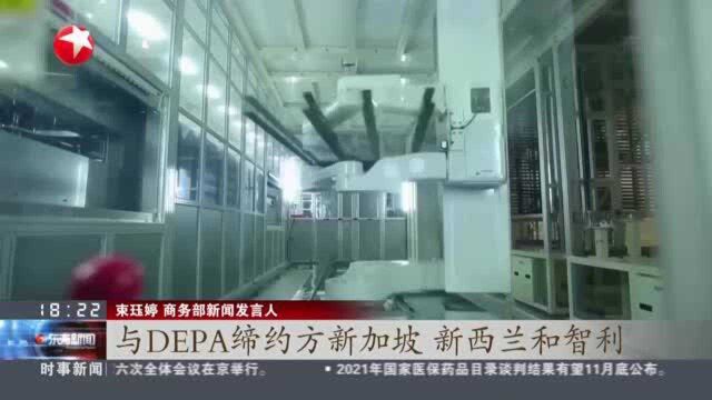 中国申请加入《数字经济伙伴关系协定》:商务部——有助于促进全球数字经济长期繁荣