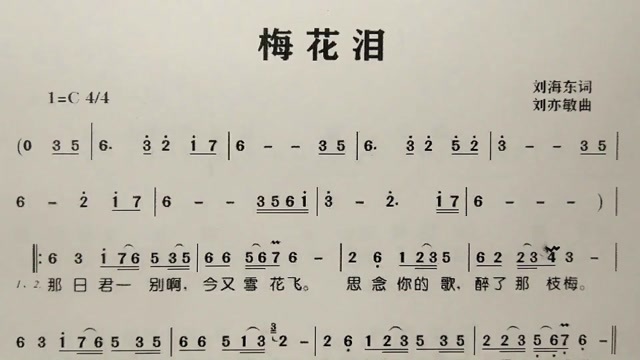 简谱歌曲梅花泪歌谱歌词逐句领唱简单易学