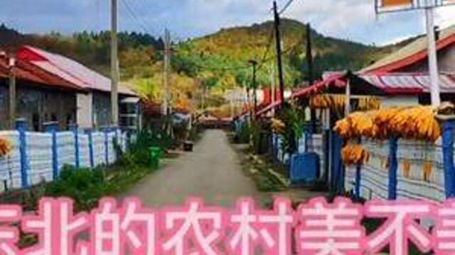 这样的农村你喜欢吗?#最美的风景在路上 #最美乡村风景