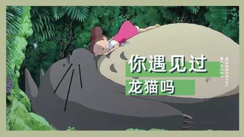 【宫崎骏动画】龙猫主题曲《となりのトトロ》，温暖我童年夏夜的“豆豆龙 豆豆龙”