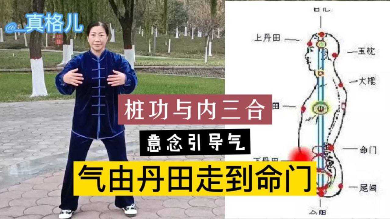 站桩时如何用意念引导气与劲在体内走太极圆_高清1080P在线观看平台_腾讯视频