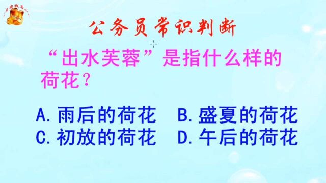 公务员常识判断,“出水芙蓉”是指什么样的荷花?长见识啦