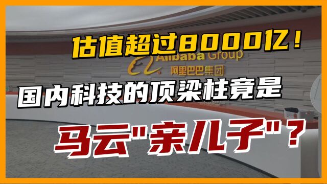 吸金200亿,跻身全球第三!马云养大的科技巨头,把美企挤出中国