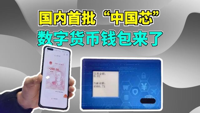 第三方支付平台或遇劲敌?“中国芯”数字货币钱包来了