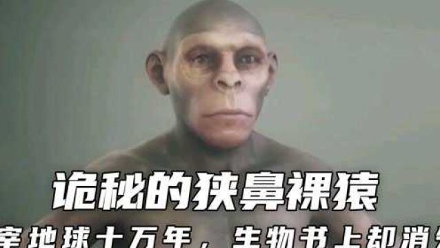 神秘的狭鼻裸猿