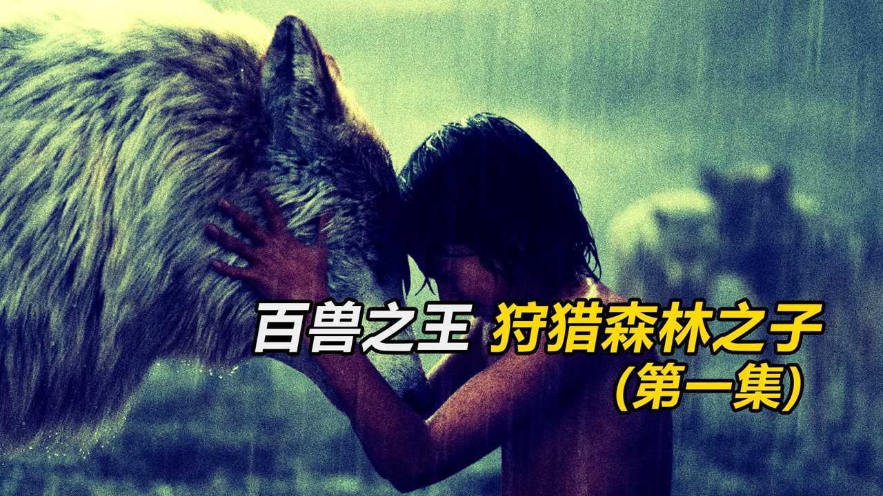 群狼养大的8岁男孩,被百兽之王疯狂猎杀!《奇幻森林》_高清1080P在线观看平台_腾讯视频