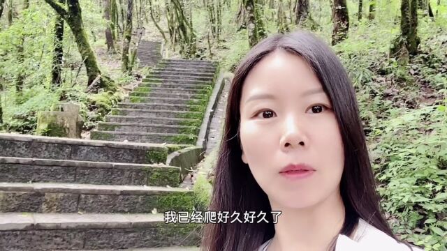 云南有个小众景点,风景秀丽游客很少,与世隔绝宛如世外桃源