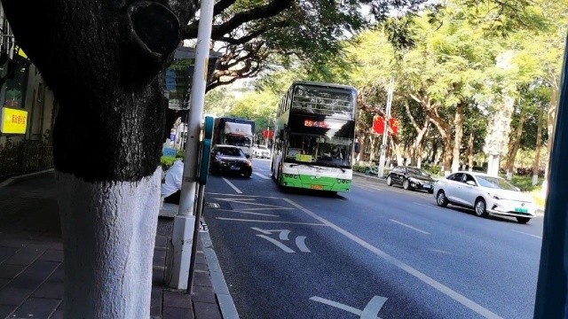 公交车上实拍厦门街景,不愧是福建知名最高的城市,太漂亮了