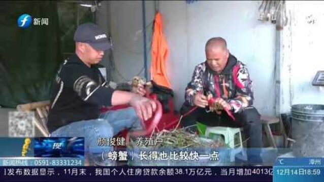 大开眼界!福建全省最大“渔光一体”,光伏发电项目在福清投入使用