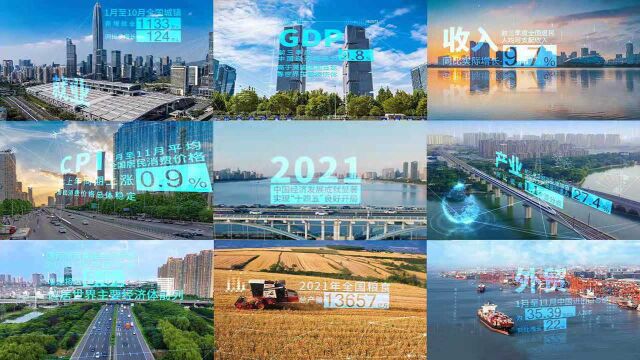 数读 ⷠ2021中国经济关键词