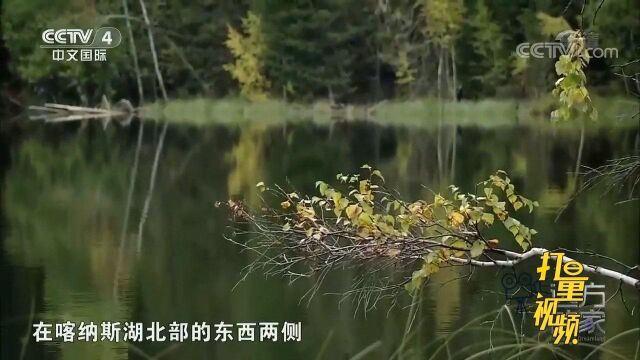 双湖由两个狭长的小湖串联而成,仿佛一对孪生姐们