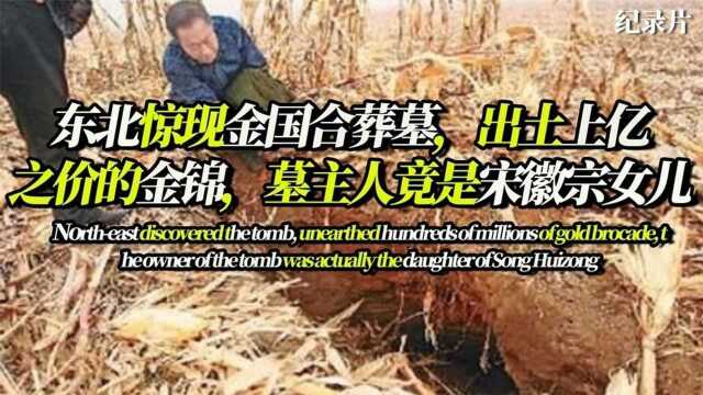 东北老农菜地惊现古墓,出土上亿之价的金锦,墓主竟是宋徽宗女儿 #好片推荐官#