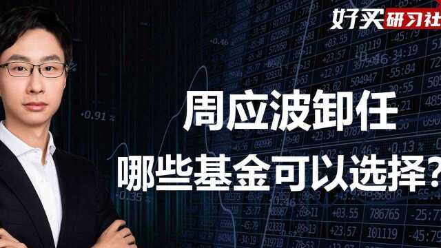 中欧周应波卸任多只基金,持有者怎么办?哪些基金经理可以选择?