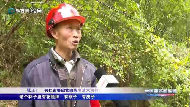 鲁础营回族乡:守护青山绿水化为金山银山