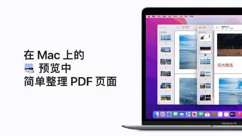 在 Mac 上的预览中简单整理 PDF 页面